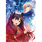 Fate/stay night [Unlimited Blade Works] Blu-ray Disc Box Standard Edition　キャラファイングラフ１０セット